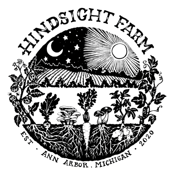 ann arbor michigan logo hindsight 2020 farm design illustration blockprint vegetables sun moon field mushrooms fruit