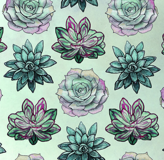 Tiani Bodycare Succulents Pattern design custom Oona Goodman botanical illustration Michigan