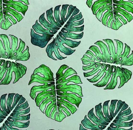 Tiani Bodycare Monstera Leaf Pattern design custom Oona Goodman botanical illustration Michigan