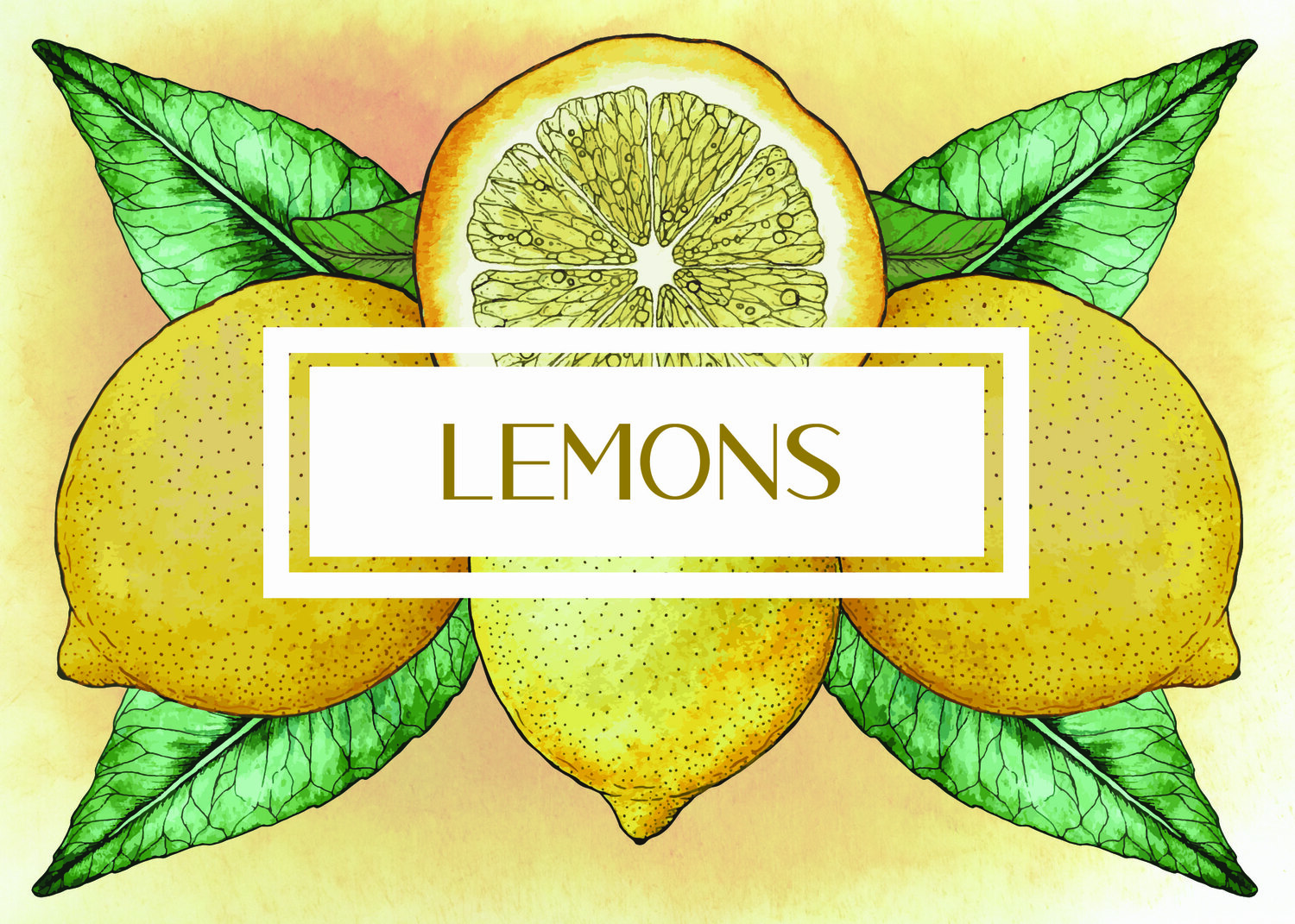 Lemons Illustration Set