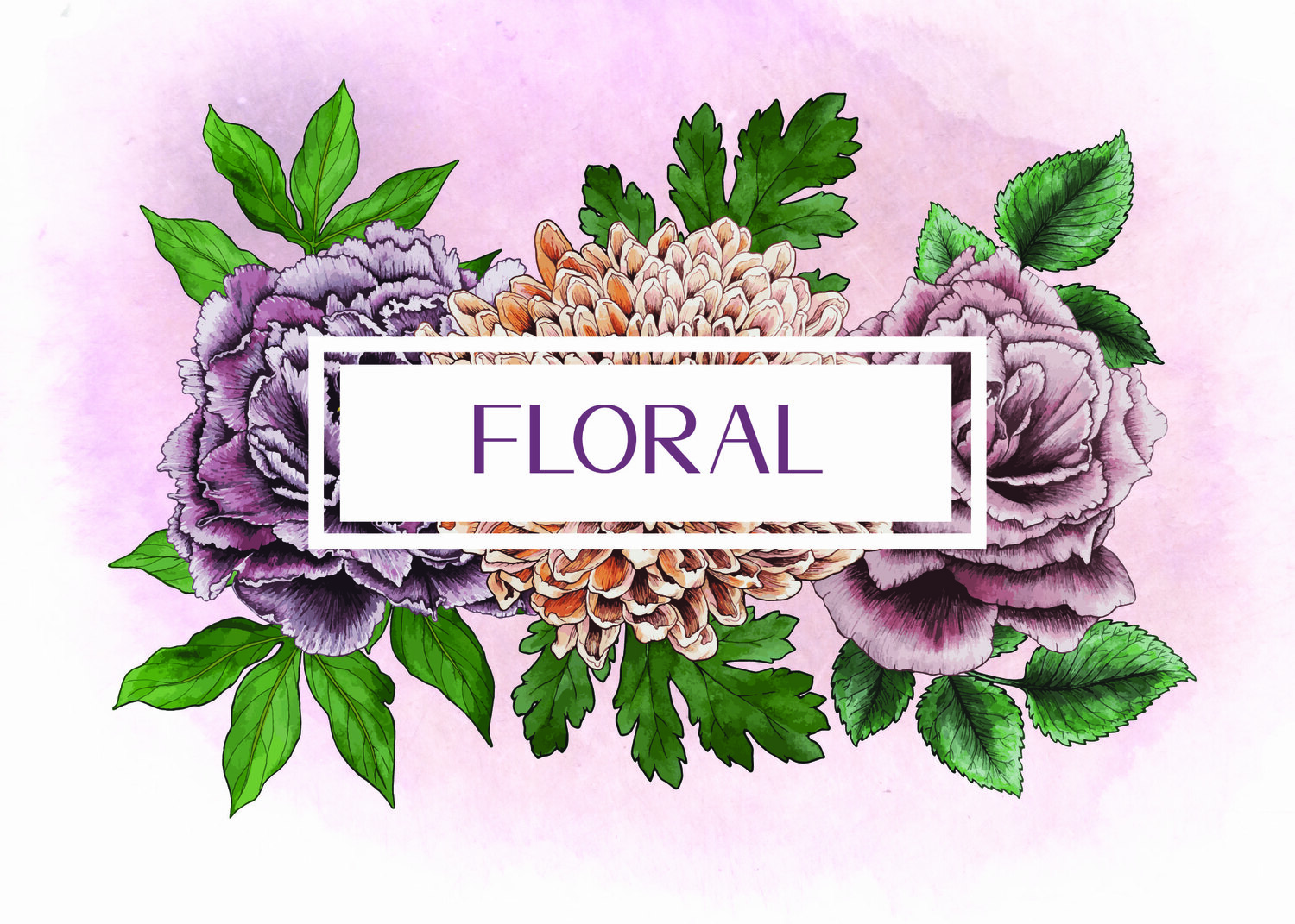 Floral Illustration Set